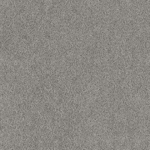 8204_2_additional image_new.jpg image
